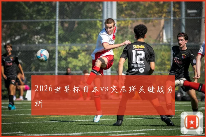 2026世界杯日本vs突尼斯关键战分析