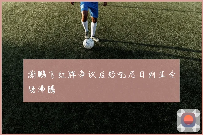 谢鹏飞红牌争议后怒吼尼日利亚全场沸腾