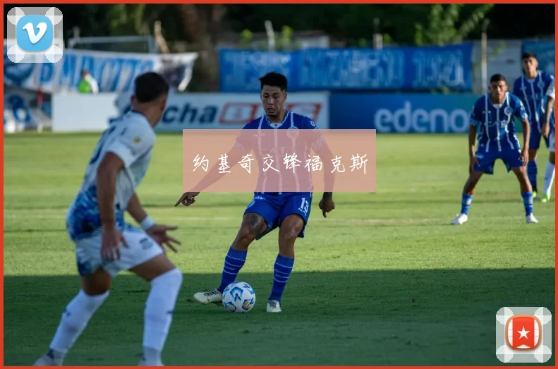 约基奇交锋福克斯