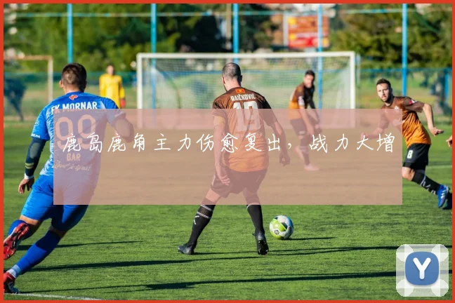 鹿岛鹿角主力伤愈复出，战力大增