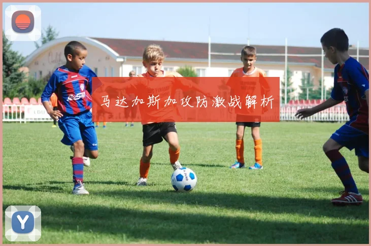马达加斯加攻防激战解析