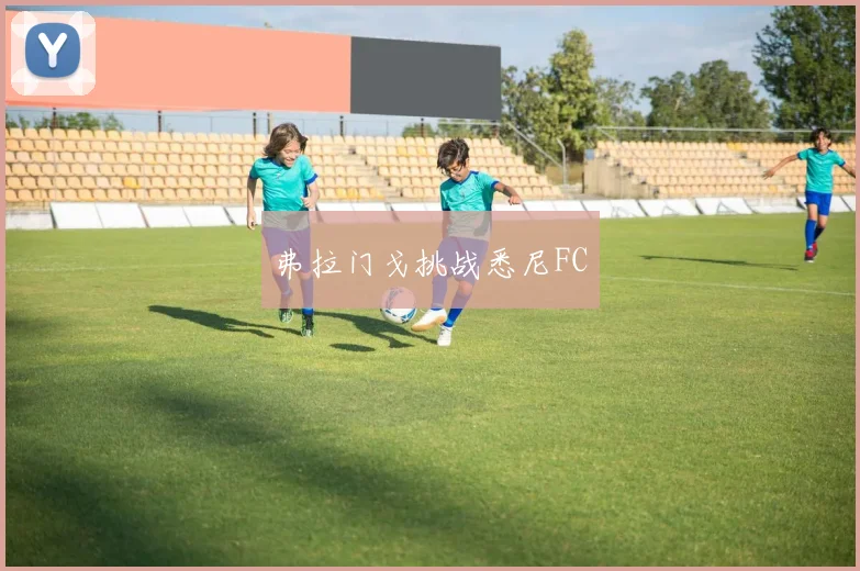 弗拉门戈挑战悉尼FC