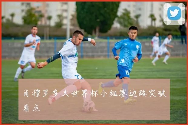 肖穆罗多夫世界杯小组赛边路突破看点