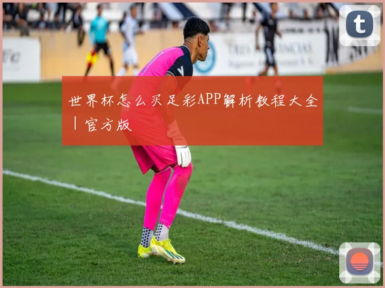世界杯怎么买足彩APP解析教程大全｜官方版