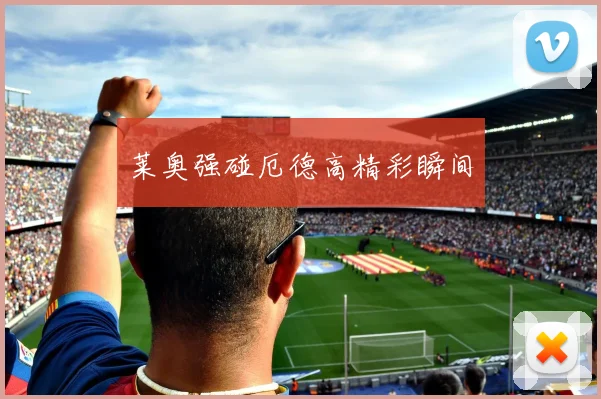莱奥强碰厄德高精彩瞬间