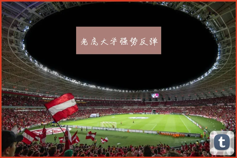 老虎大学强势反弹