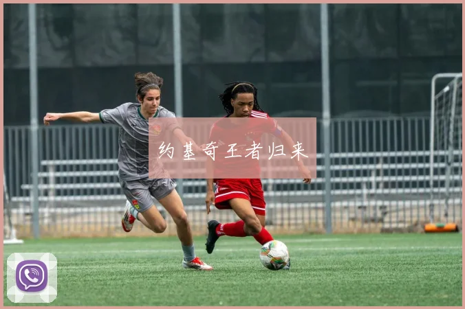 约基奇王者归来
