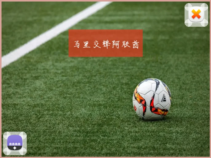 马里交锋阿联酋
