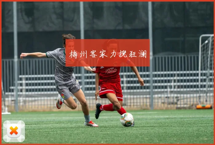 梅州客家力挽狂澜