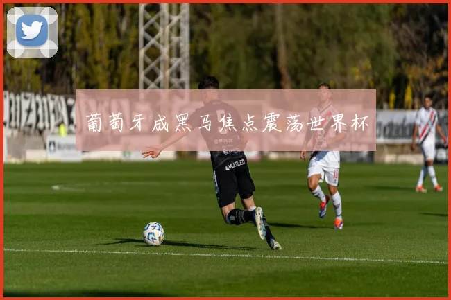 葡萄牙成黑马焦点震荡世界杯