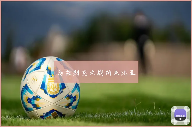 乌兹别克大战纳米比亚