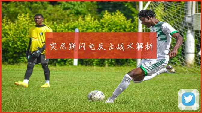 突尼斯闪电反击战术解析