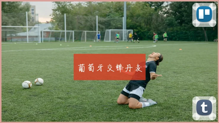 葡萄牙交锋丹麦