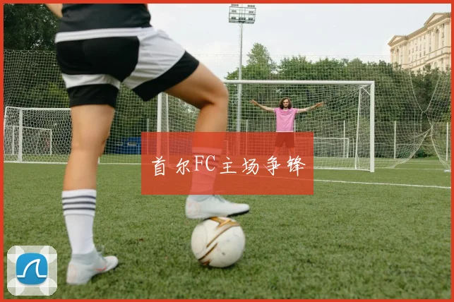 首尔FC主场争锋