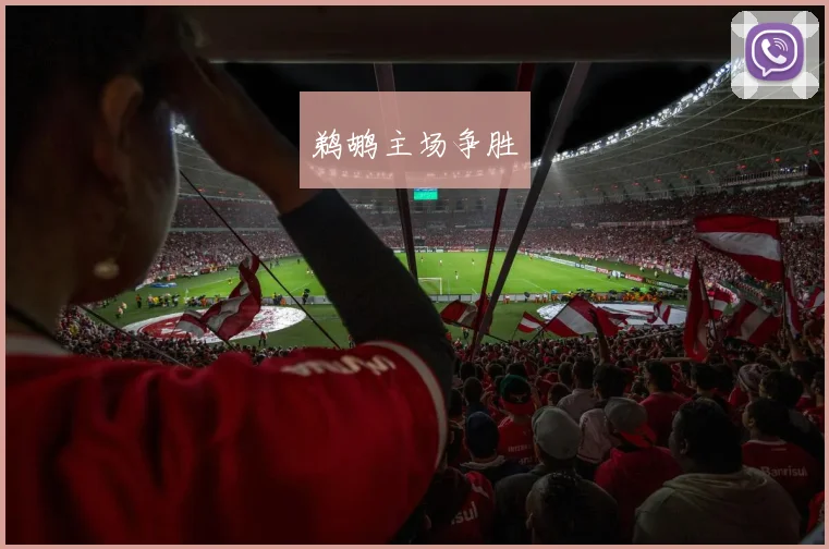 鹈鹕主场争胜