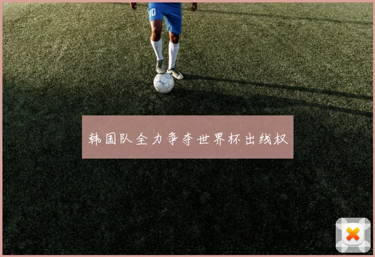 韩国队全力争夺世界杯出线权