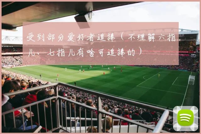 受到部分爱好者追捧（不理解六指儿、七指儿有啥可追捧的）