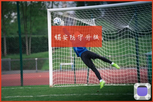 锡安防守升级