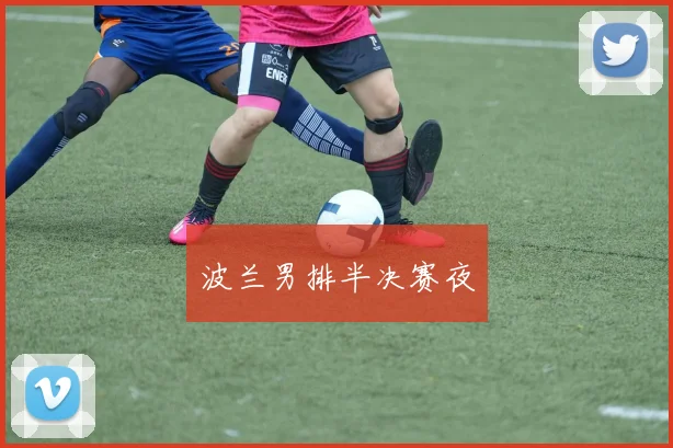 波兰男排半决赛夜
