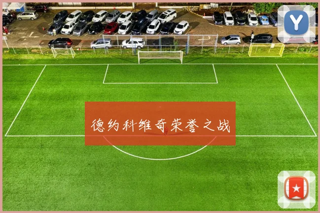德约科维奇荣誉之战