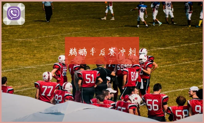 鹈鹕季后赛冲刺