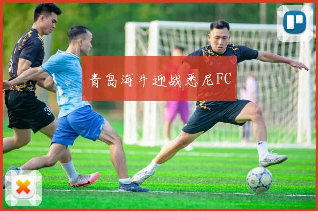 青岛海牛迎战悉尼FC
