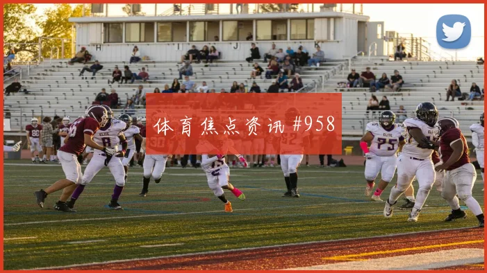 法甲尼斯里尔门线救险争议集