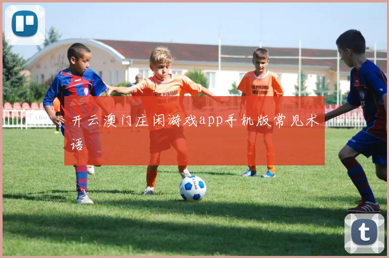 开云澳门庄闲游戏app手机版常见术语