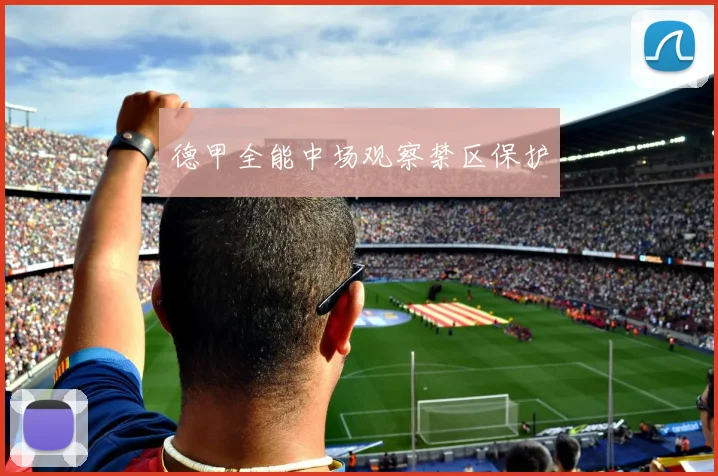 德甲全能中场观察禁区保护