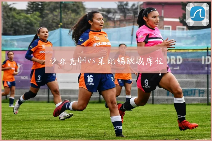 沙尔克04vs莱比锡欧战席位