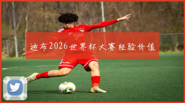 迪布2026世界杯大赛经验价值